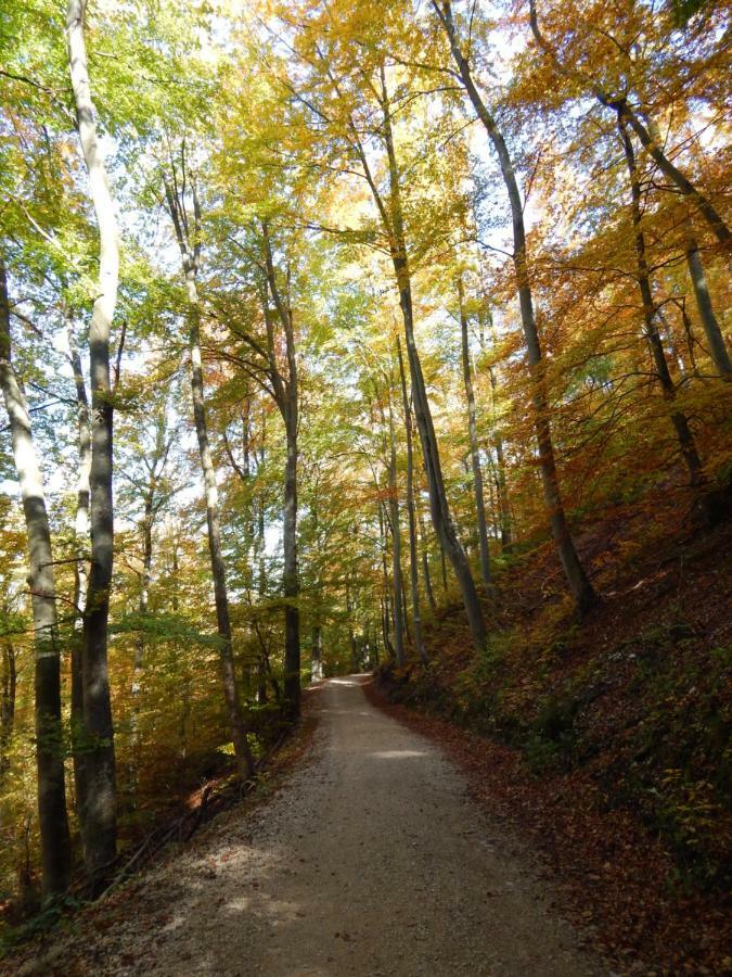 Free Apartment - Bei Den Thermen Bad Urach Zewnętrze zdjęcie
