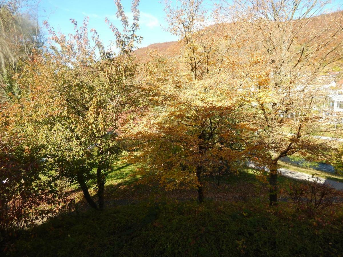 Free Apartment - Bei Den Thermen Bad Urach Zewnętrze zdjęcie